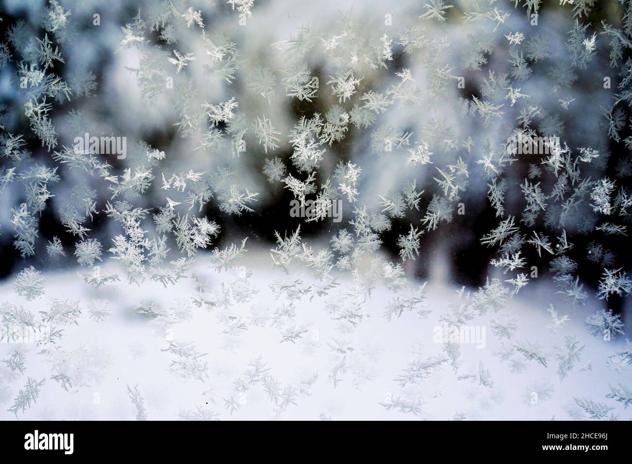 Snow Falling Sharp Falling snow detail hi-res stock photography and images - Alamy