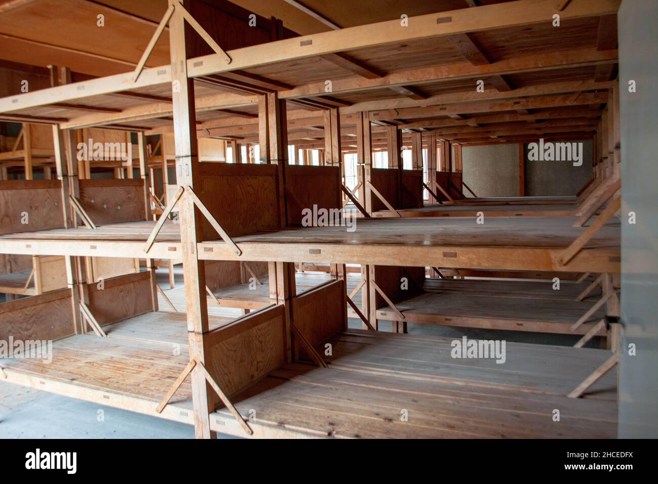 Nazi concentration camp barrack bunk beds, Dachau, Germany Stock Photo