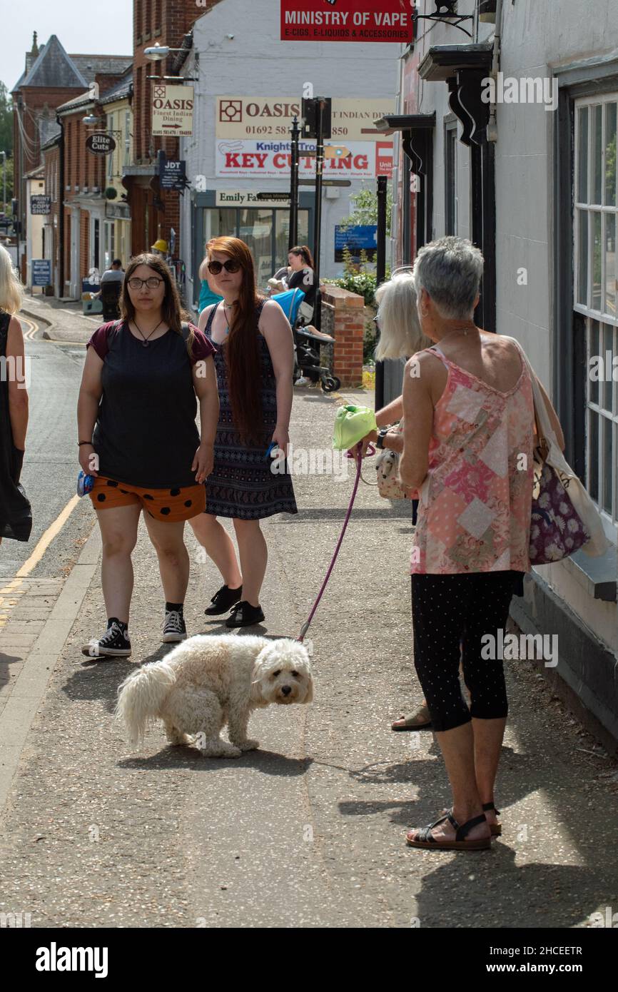 Caught in the act. Dog street walkers. Animal about to defecate pooh on the footpath before other people. Consider Health Safety law, prevention need. Stock Photo