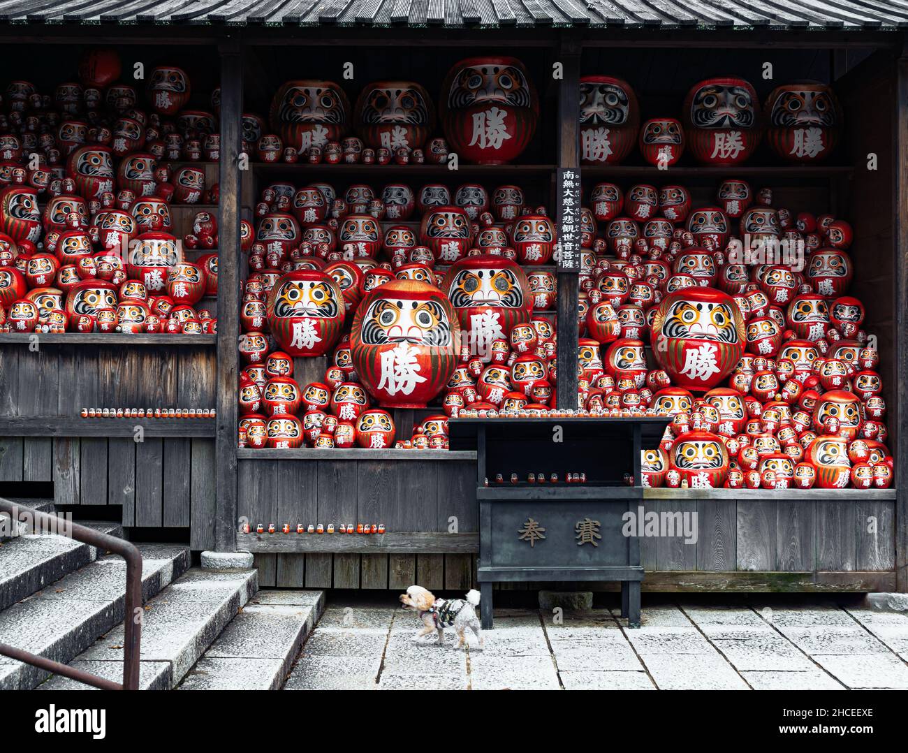 Daruma dolls at Katsuo-ji. Temple in Minoh, Japan. Stock Photo
