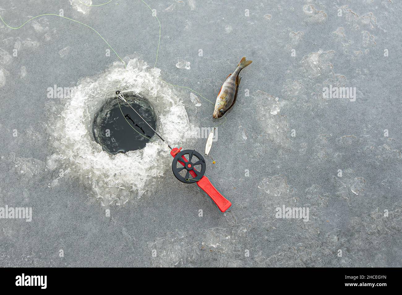 red fishingrod and a silver lure next to a hole in the ice and a perch, Zealand, Denmark, Januar 27, 2021 Stock Photo
