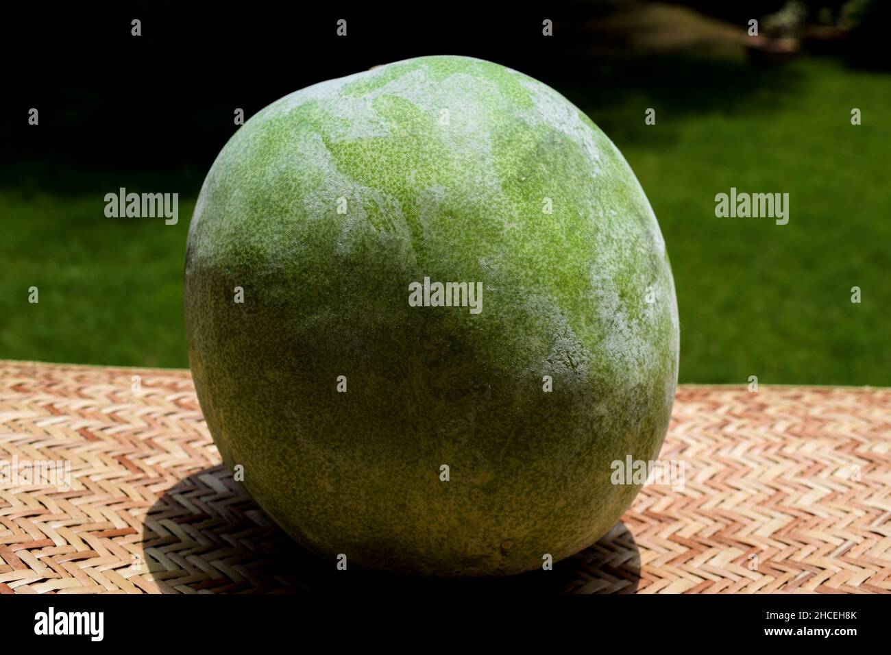 Ash gourd, kumbalanga vegetable also called winter melon, white gourd or winter gourd Stock Photo