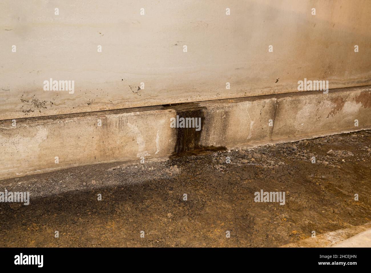 Water leaking through foundation wall in crawlspace of house. Home repair, basement waterproofing and mold damage concept. Stock Photo