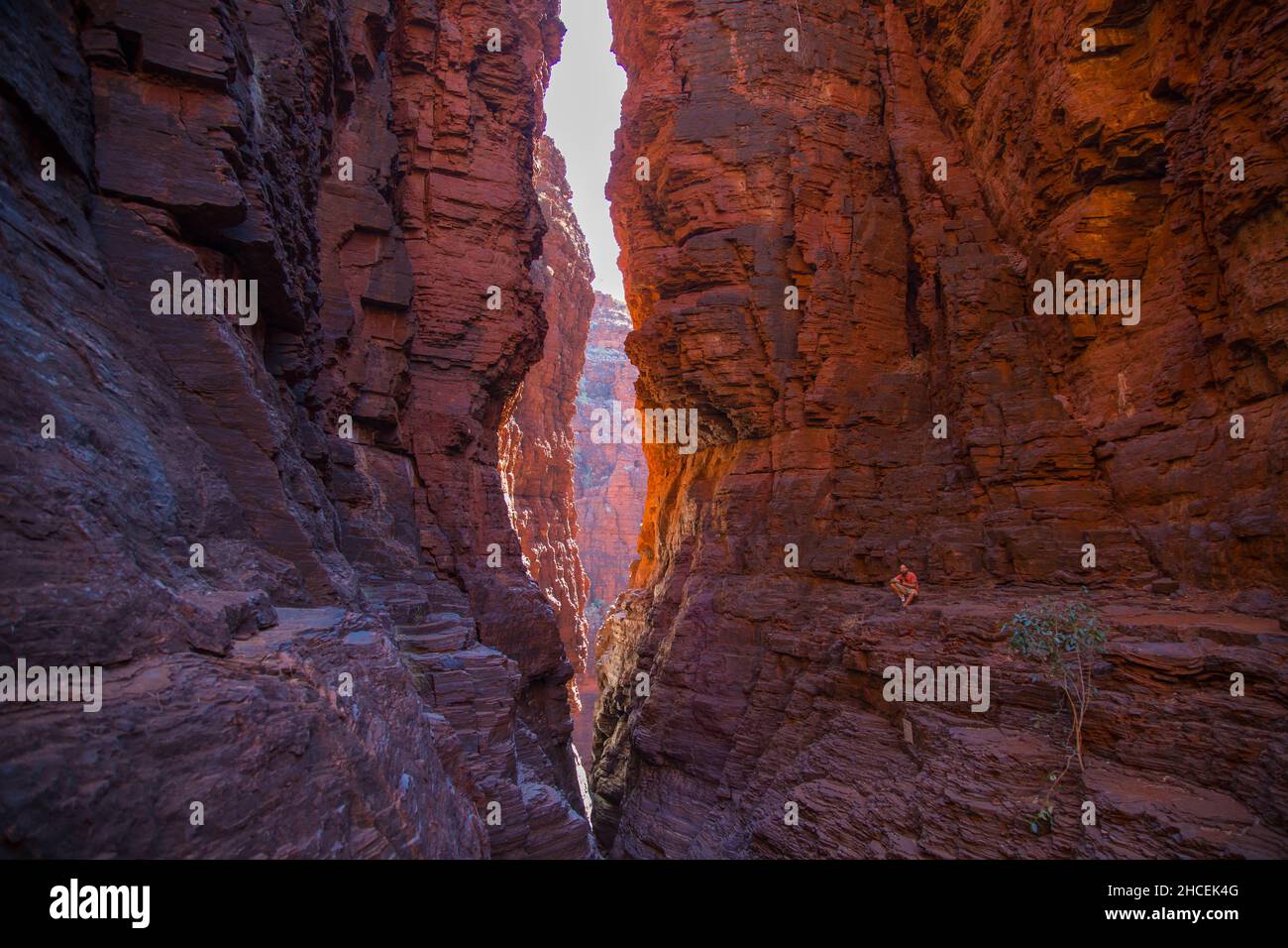 A man alone in a red Canyon in Karaijini Australia Stock Photo