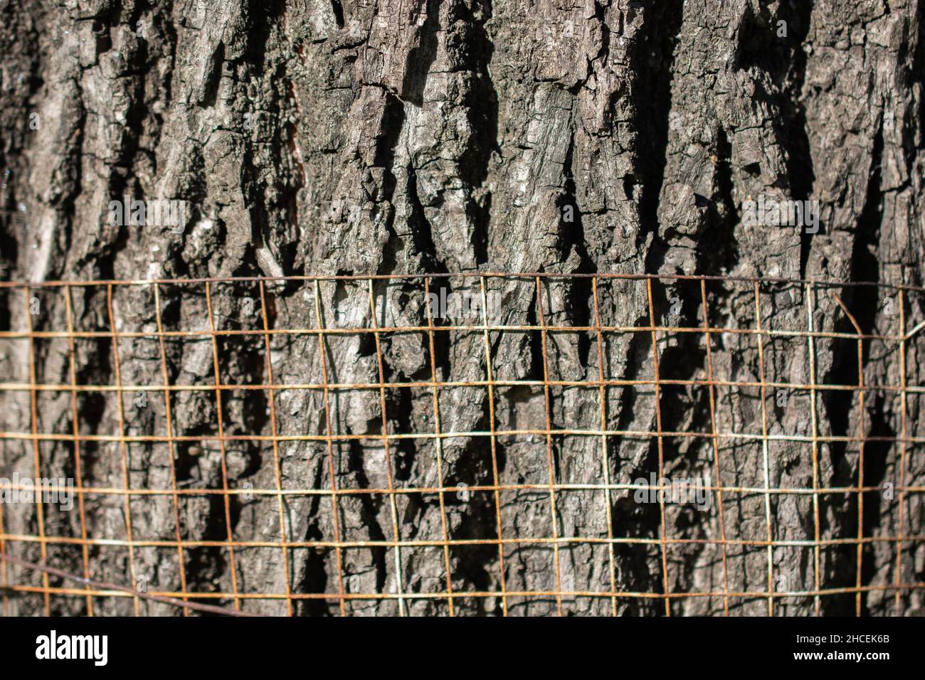Rusty metal grid in the background of rough wooden texture Stock Photo ...