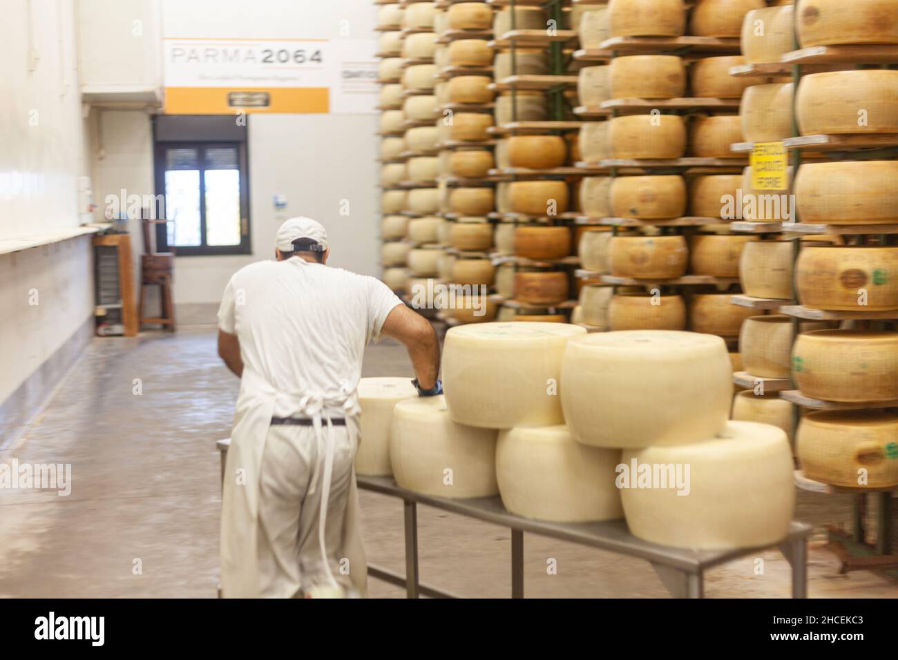 Closeup shot of Parmesan cheese wheels storage in a dairy farm