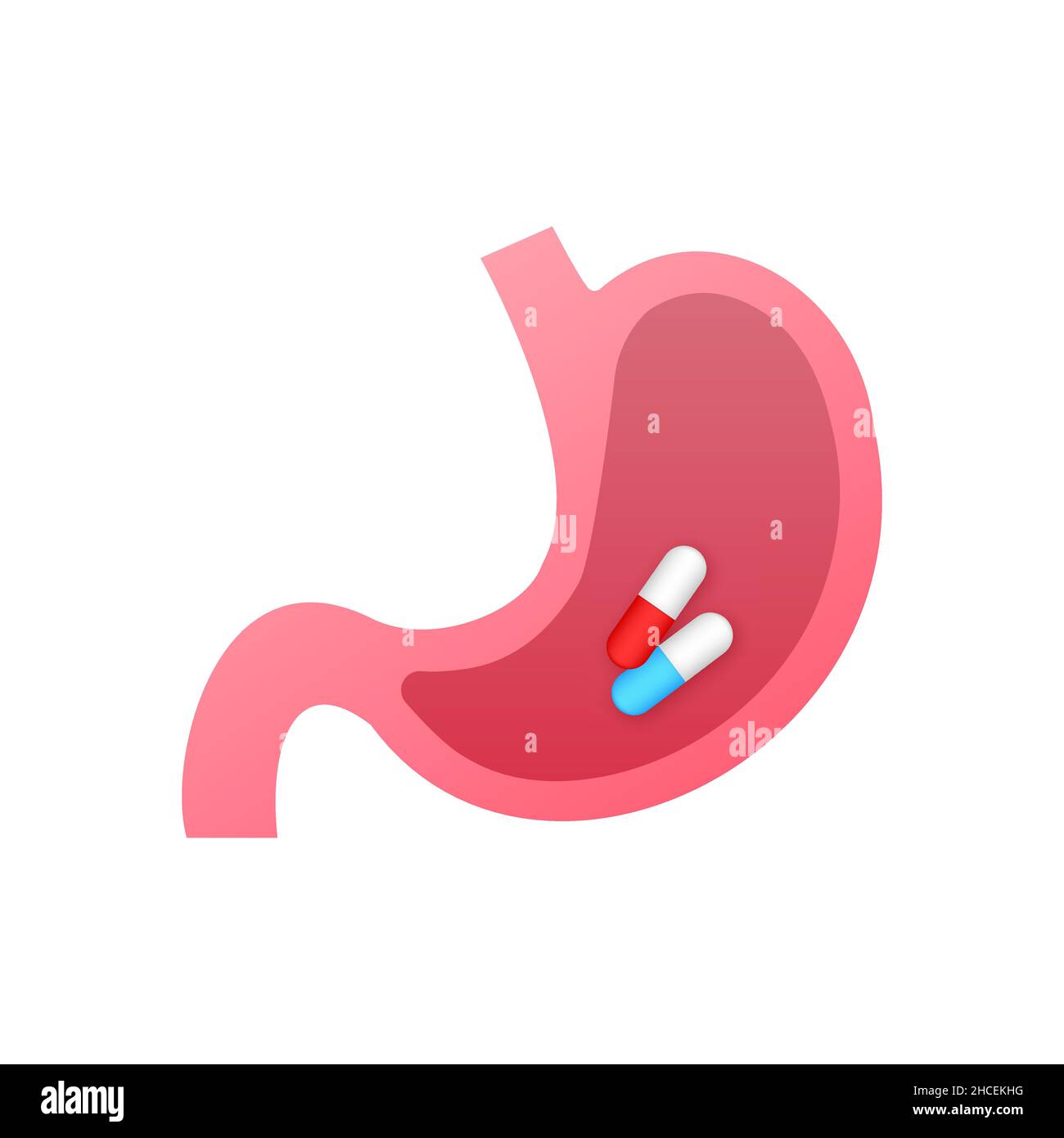 Taking stomach pills. Endoscope in stomach through esophagus. Vector