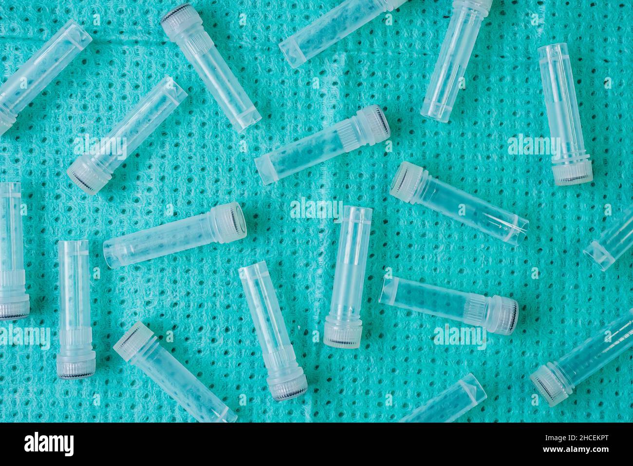 Plastic test tubes with caps for the collection of samples. Sampling