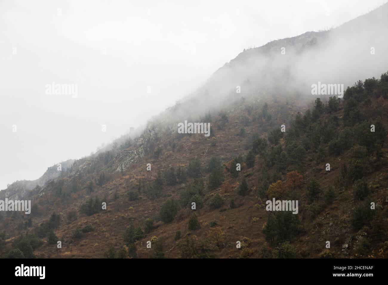 Mountain View has a beautiful morning mist. Stock Photo