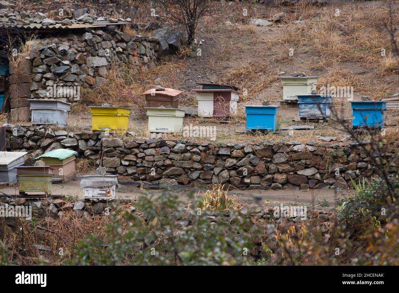 Bee hives architecture hi-res stock photography and images - Alamy