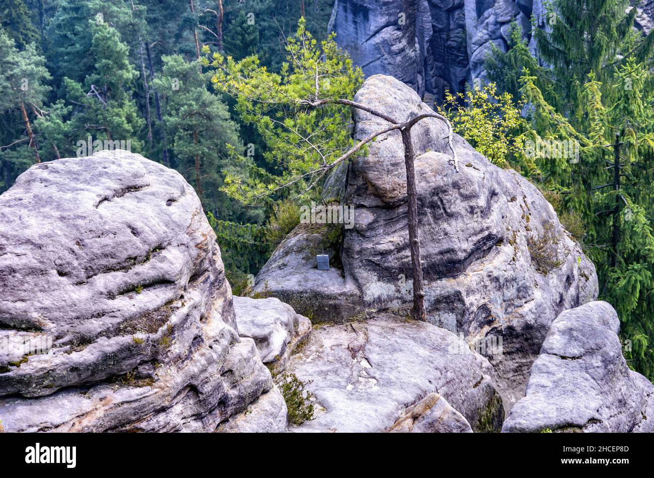 Rock summit with summit register in the Prachov Rocks (Prachovske Skaly), Bohemian Paradise (Cesky Raj), Kralovehradecky kraj, Czech Republic. Stock Photo