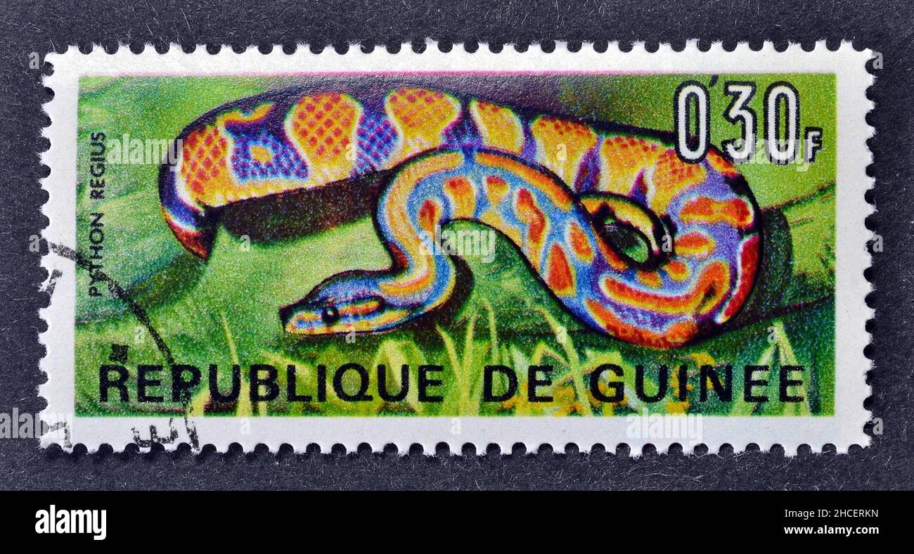 Cancelled postage stamp printed by Guinea, that shows Ball Phyton (Python regius), circa 1967. Stock Photo