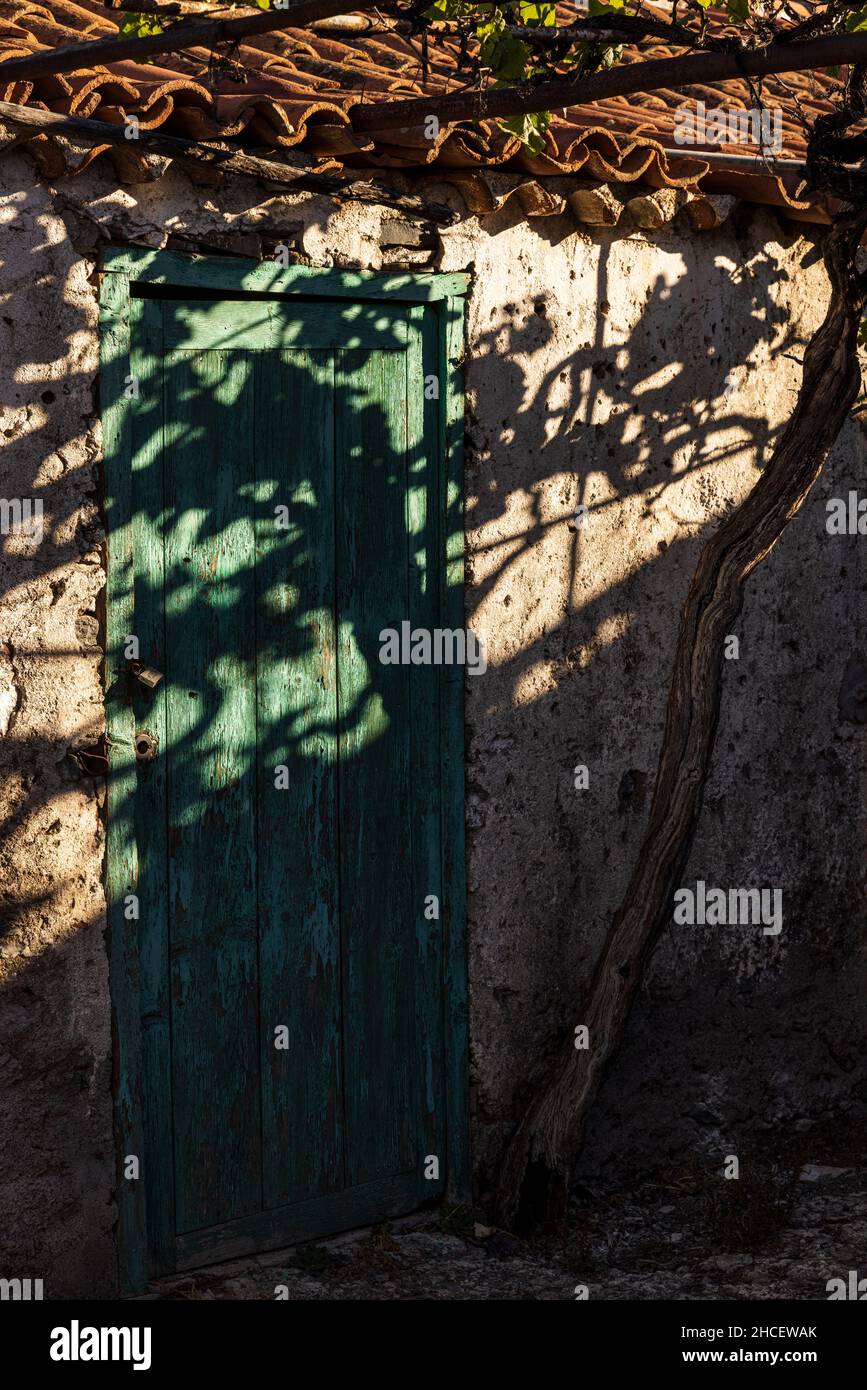 Abstract detail of vine shadows across rustic buildings in Chirche, Guia de Isora, Tenerife, Canary Islands, Spain Stock Photo
