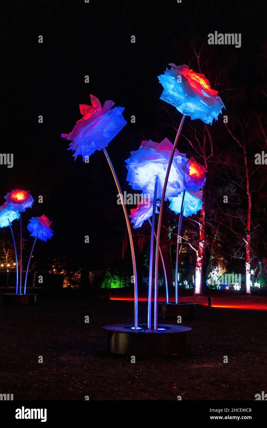 Giant Illuminated flower display at the Christmas Light Show at Dunham