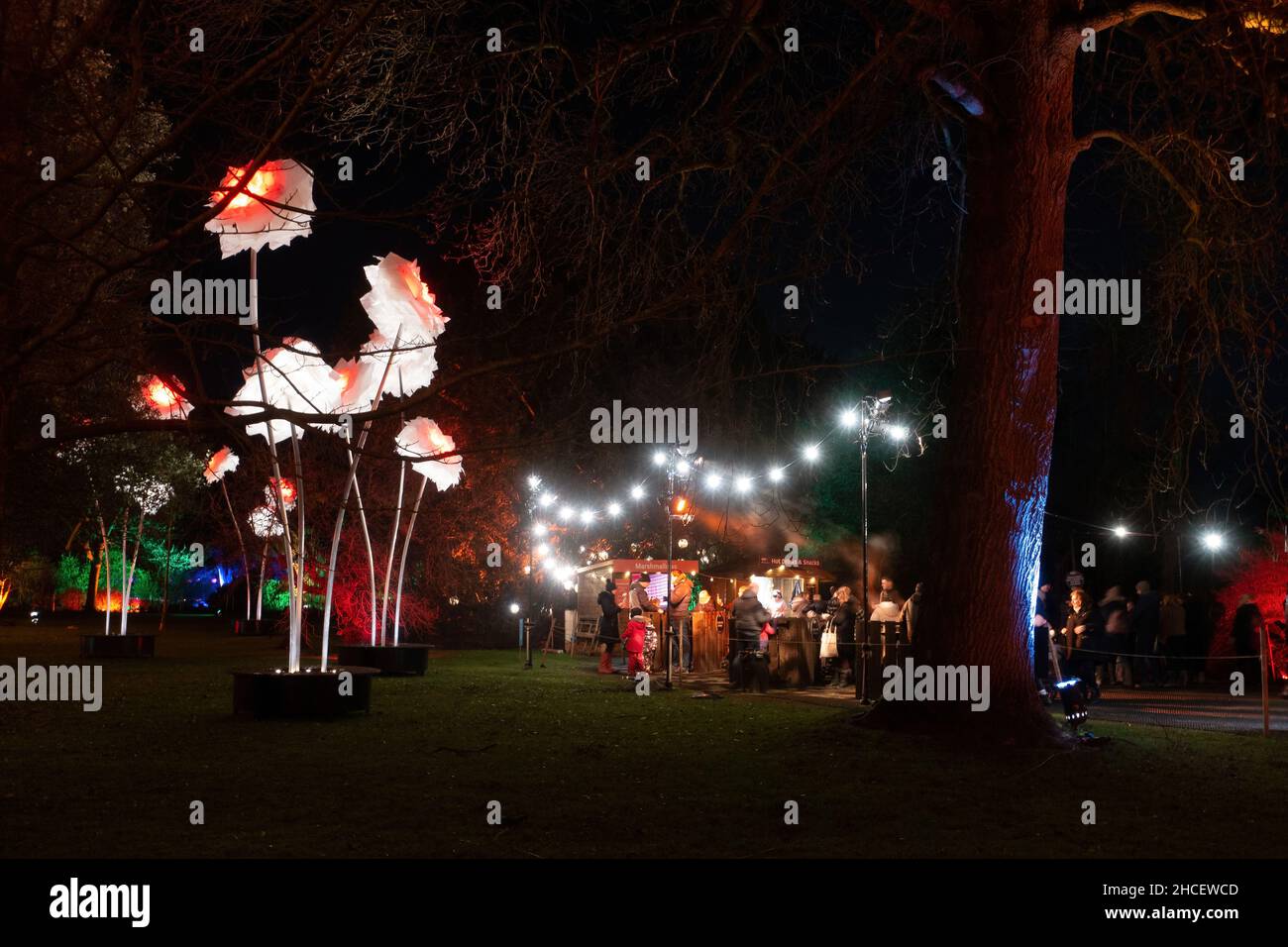 Giant Illuminated flower display at the Christmas Light Show at Dunham