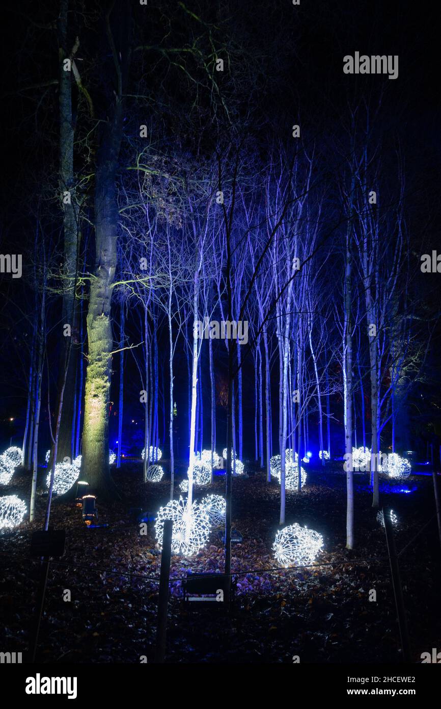 Christmas Light Show at Dunham Massey Manchester 2021 Stock Photo Alamy