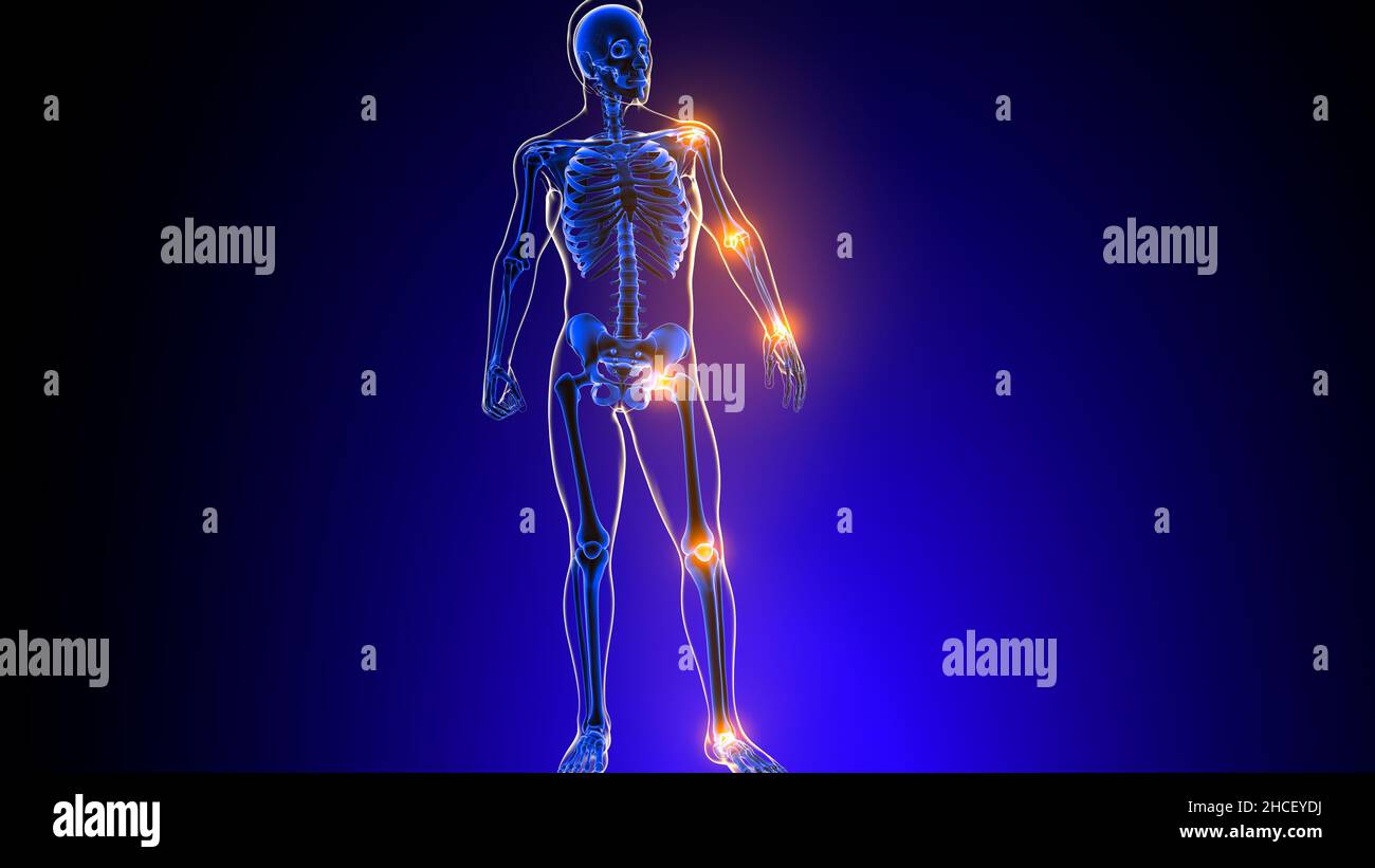 Human skeleton joint pain Anatomy For Medical Concept 3D Illustration ...