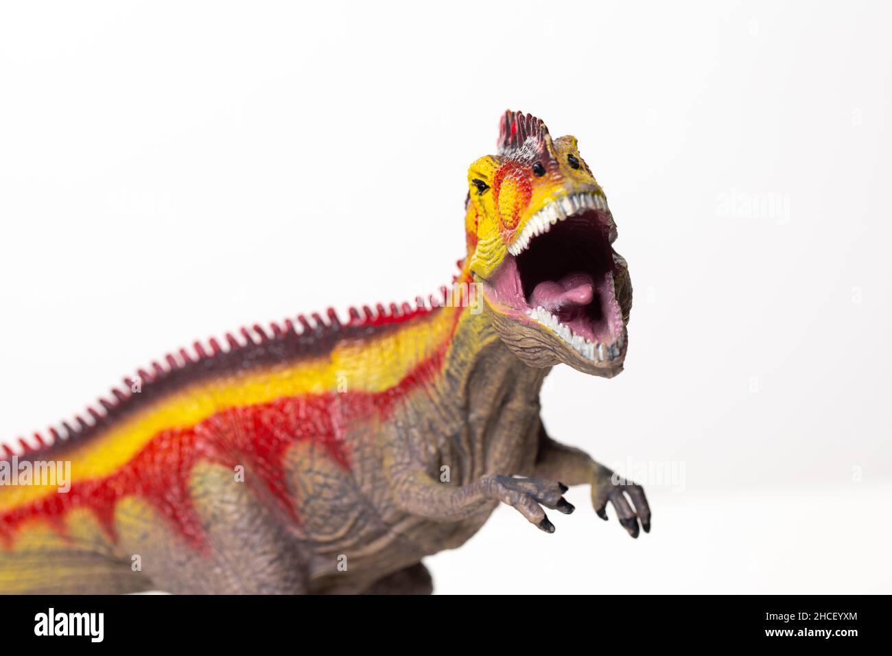 Menacing Tyrannosaurus Rex dinosaur Stock Photo - Alamy