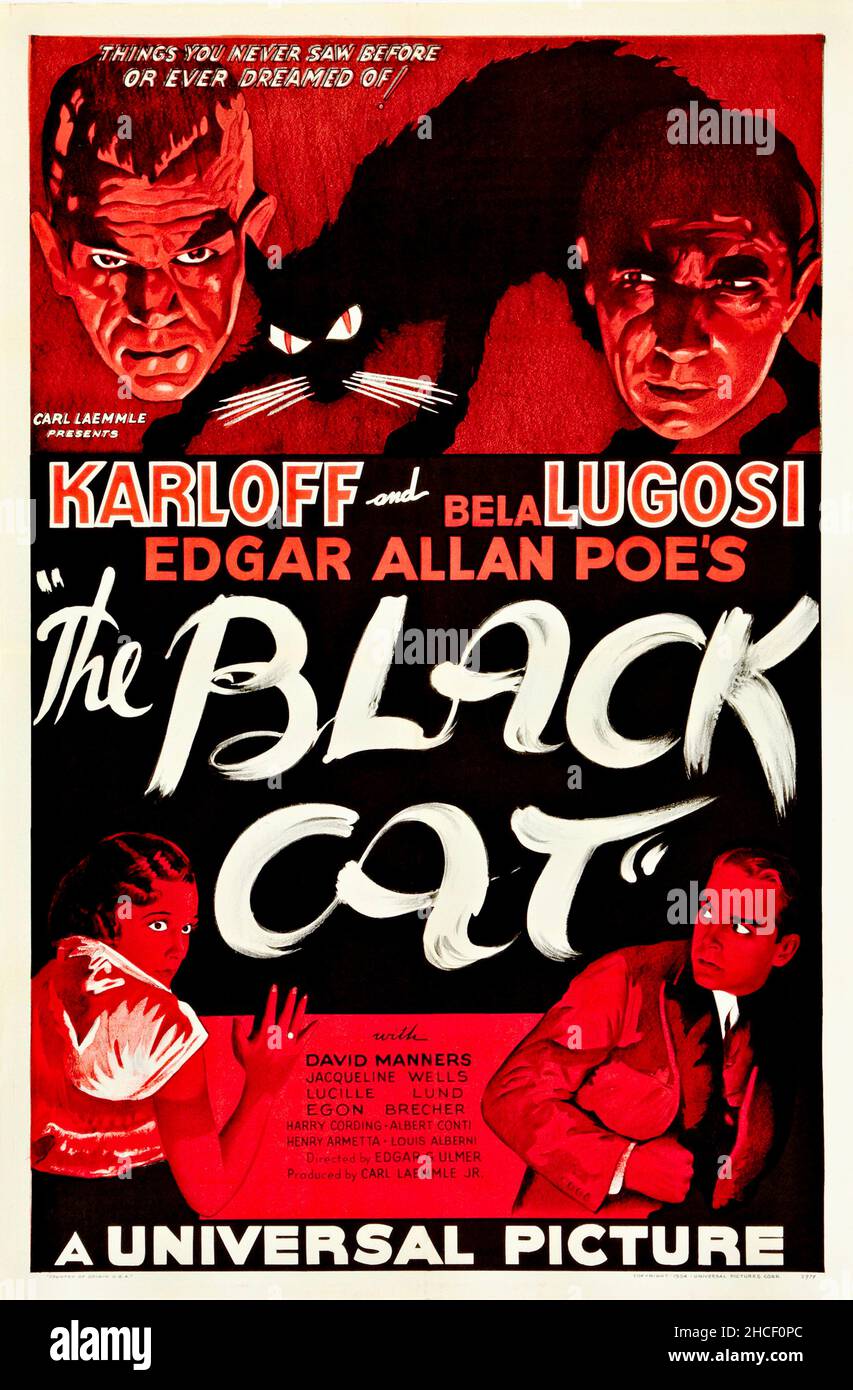 Vintage Horror Film Poster - The Black Cat starring Boris Karloff and Bela Lugosi from an Edgar Allan Poe story - it sold for $334,600 in 2009. Stock Photo