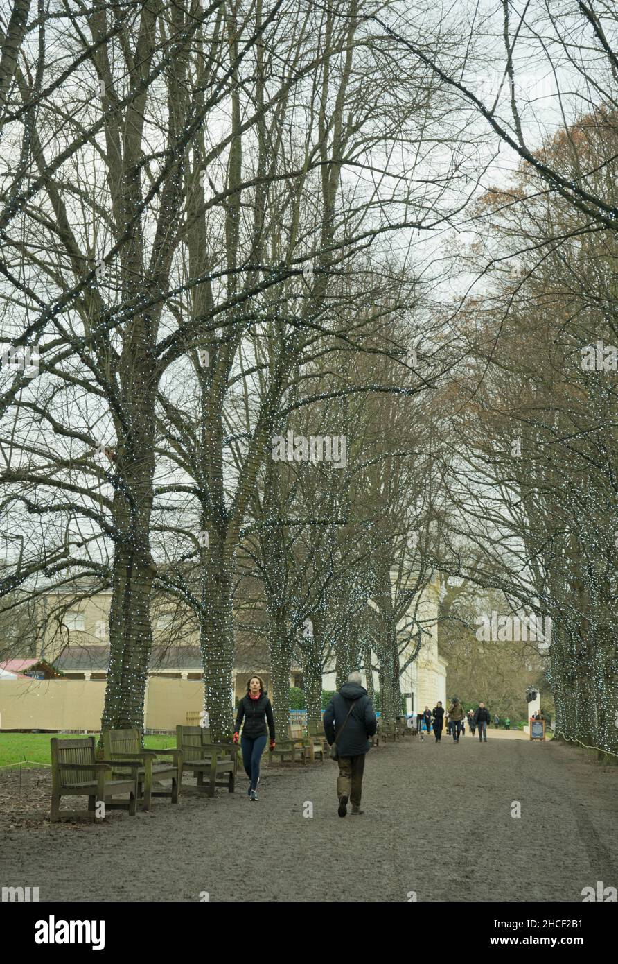 People walking in the winter with trees with Christmas illuminations by