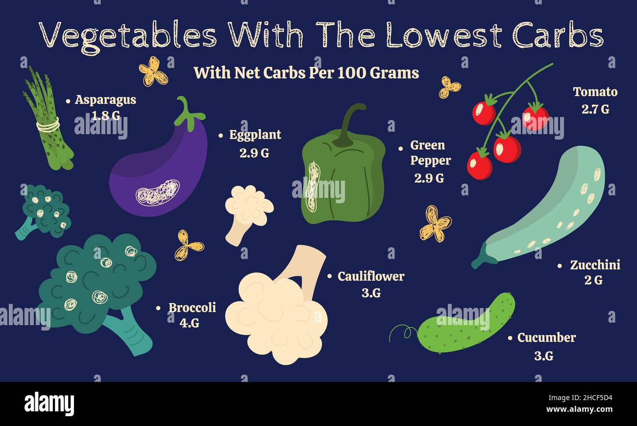 Vegetables with the lowest Carbs , infographic poster Stock Vector