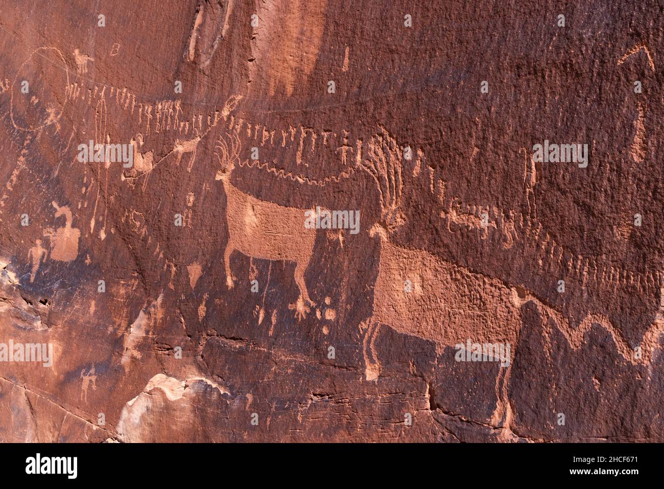 The Procession Panel, a well-known Ancetral Puebloan petroglyph panel near the top of Comb Ridge in Bears Ears National Monument, Utah. Stock Photo