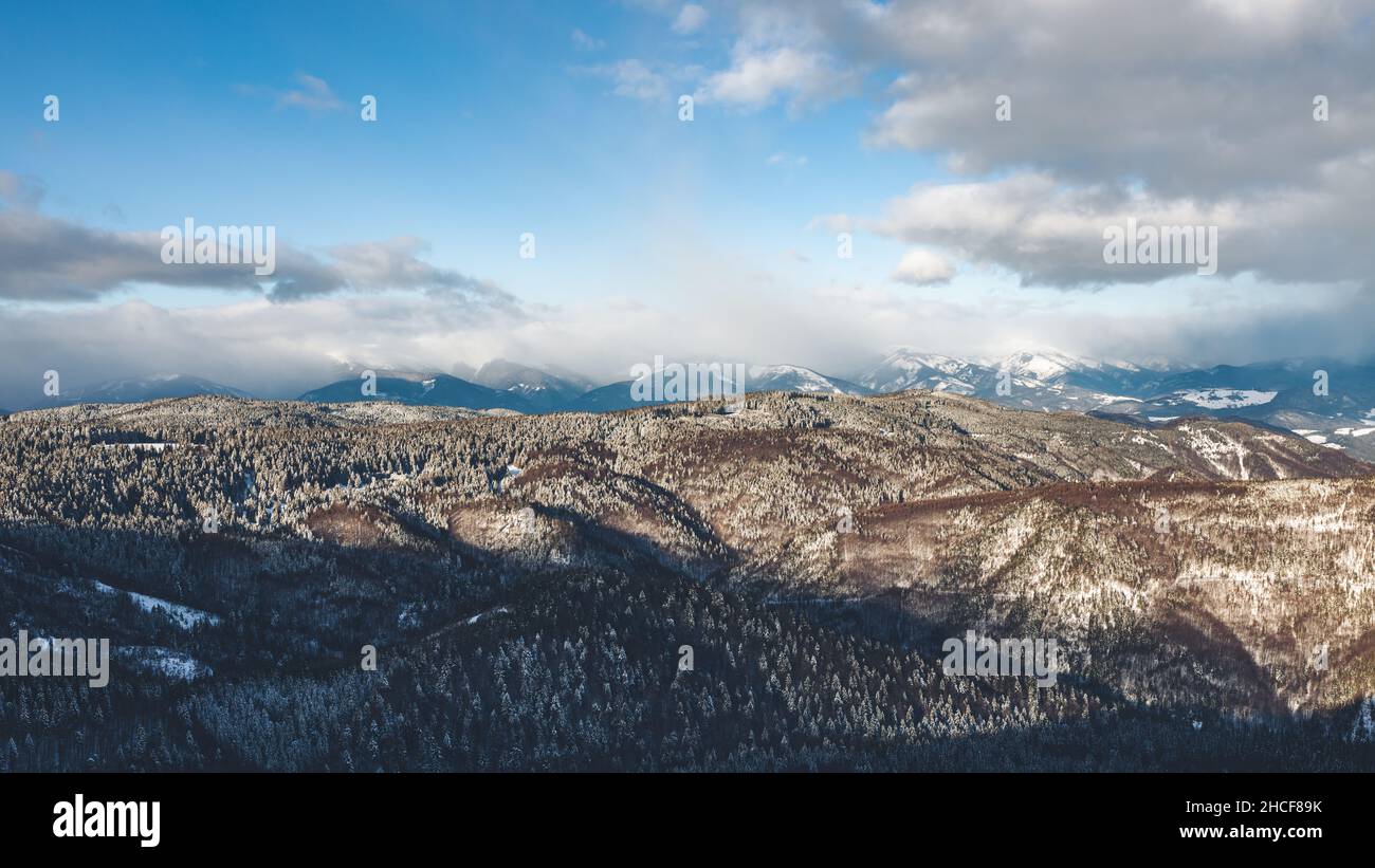 Aerial dense pine forest sky hi-res stock photography and images - Alamy