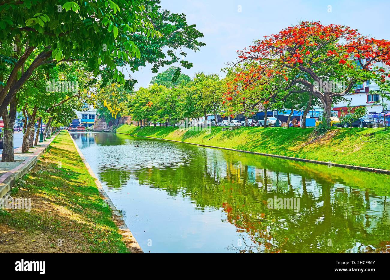 The scenic green banks of the Old City Moat, surrounding medieval fortress of Chiang Mai with lush shady park and blooming flame and caragana trees, T Stock Photo