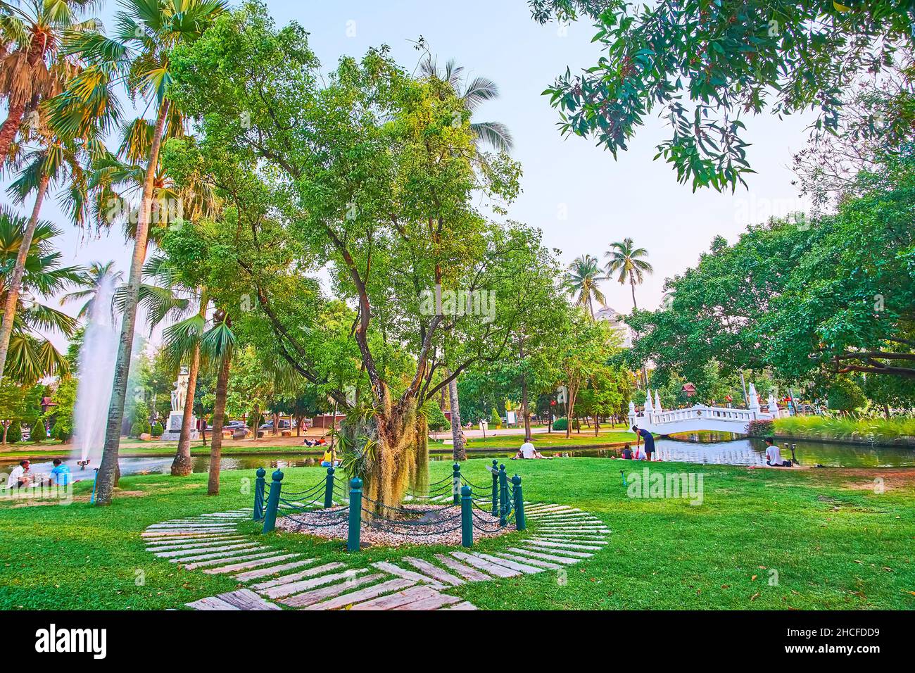 The green Buak Hard park with pond, fountains, palms, lawn,  and camphor tree, Chiang Mai, Thailand Stock Photo