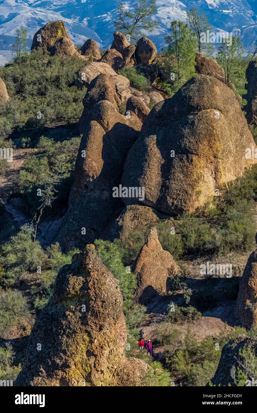 Pinnacles Volcanic Formations, made of eroded volcanic breccia, along High Peaks Trail in Pinnacles National Park, California, USA [No model release; Stock Photo