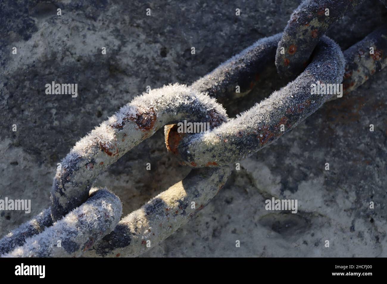 Raureif an den Gliedern einer Eisenkette am Rheinufer, Nordrhein-Westfalen, Deutschland, Köln Stock Photo