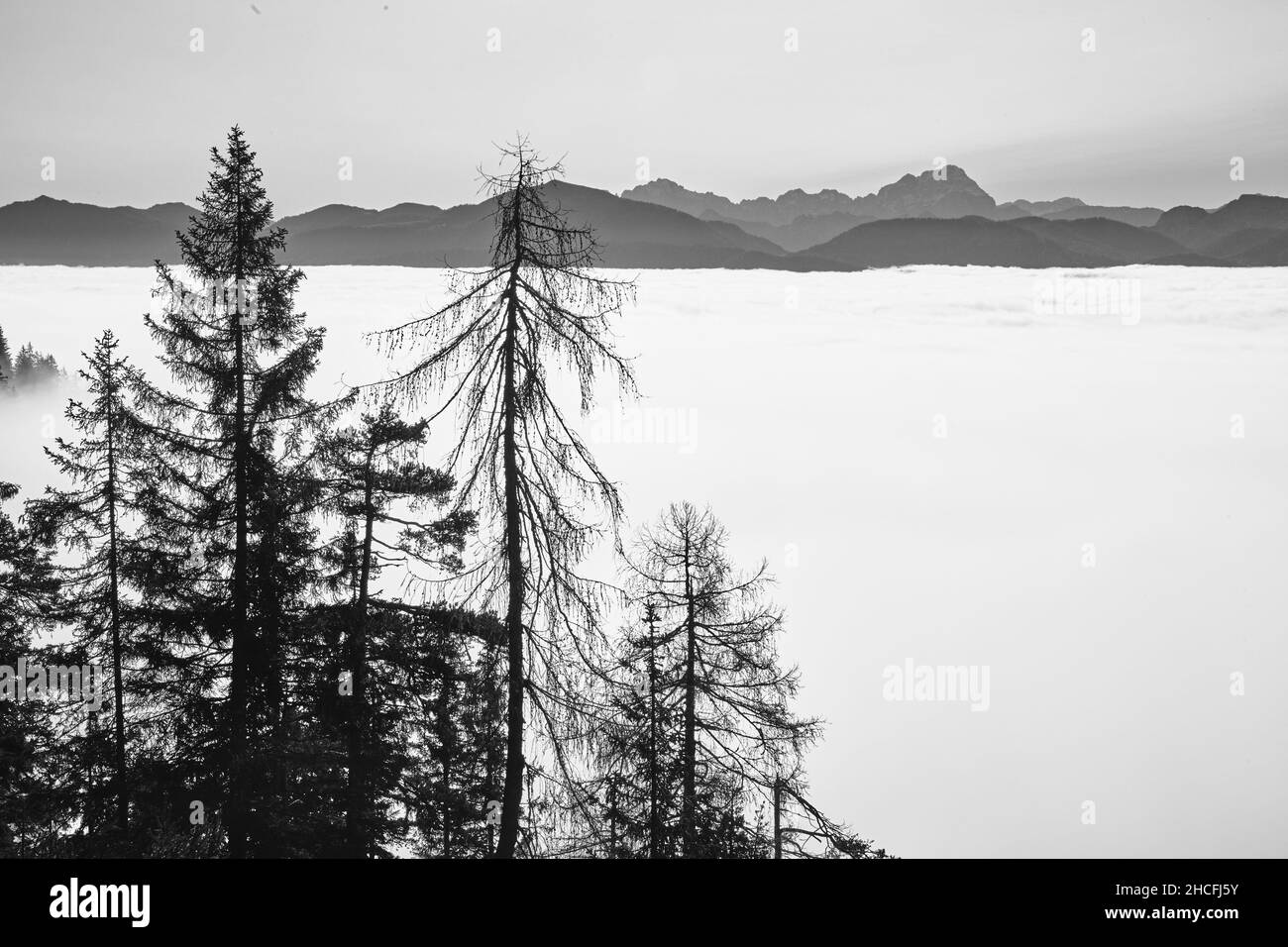 Aerial shot of a field covered in snow in winter Stock Photo