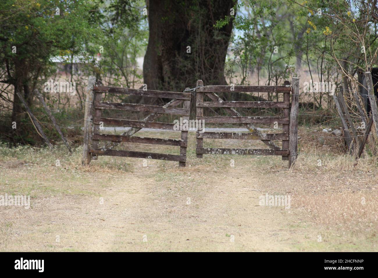 The two wooden fences standing next to each other in the countryside in front of plants and trees Stock Photo