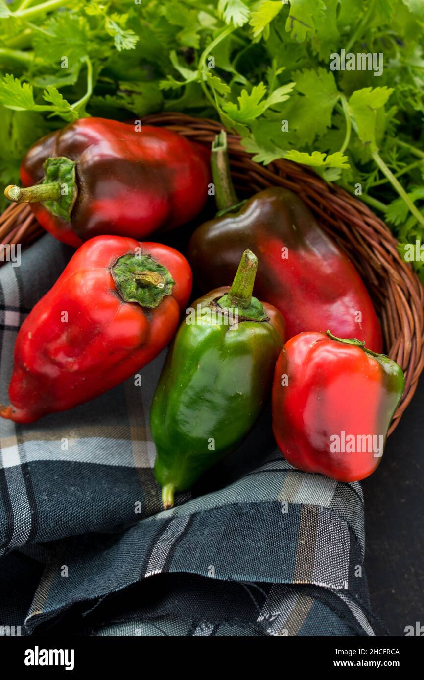 Some fresh red chili pepper in a basket with fresh coriander on a black wooden table Stock Photo