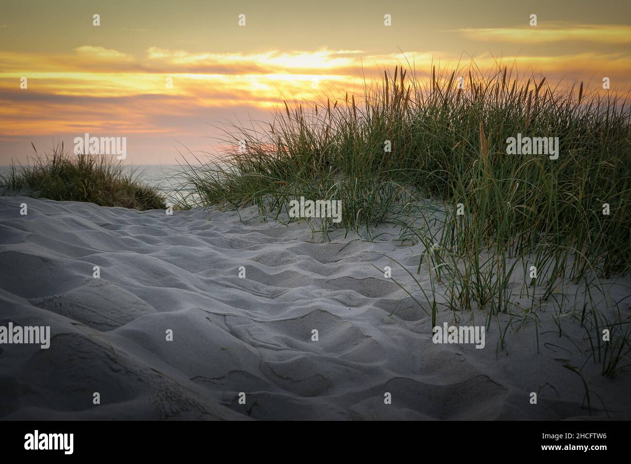 Sand and the view of the North Sea at sunset in Dunes, Australia Stock ...