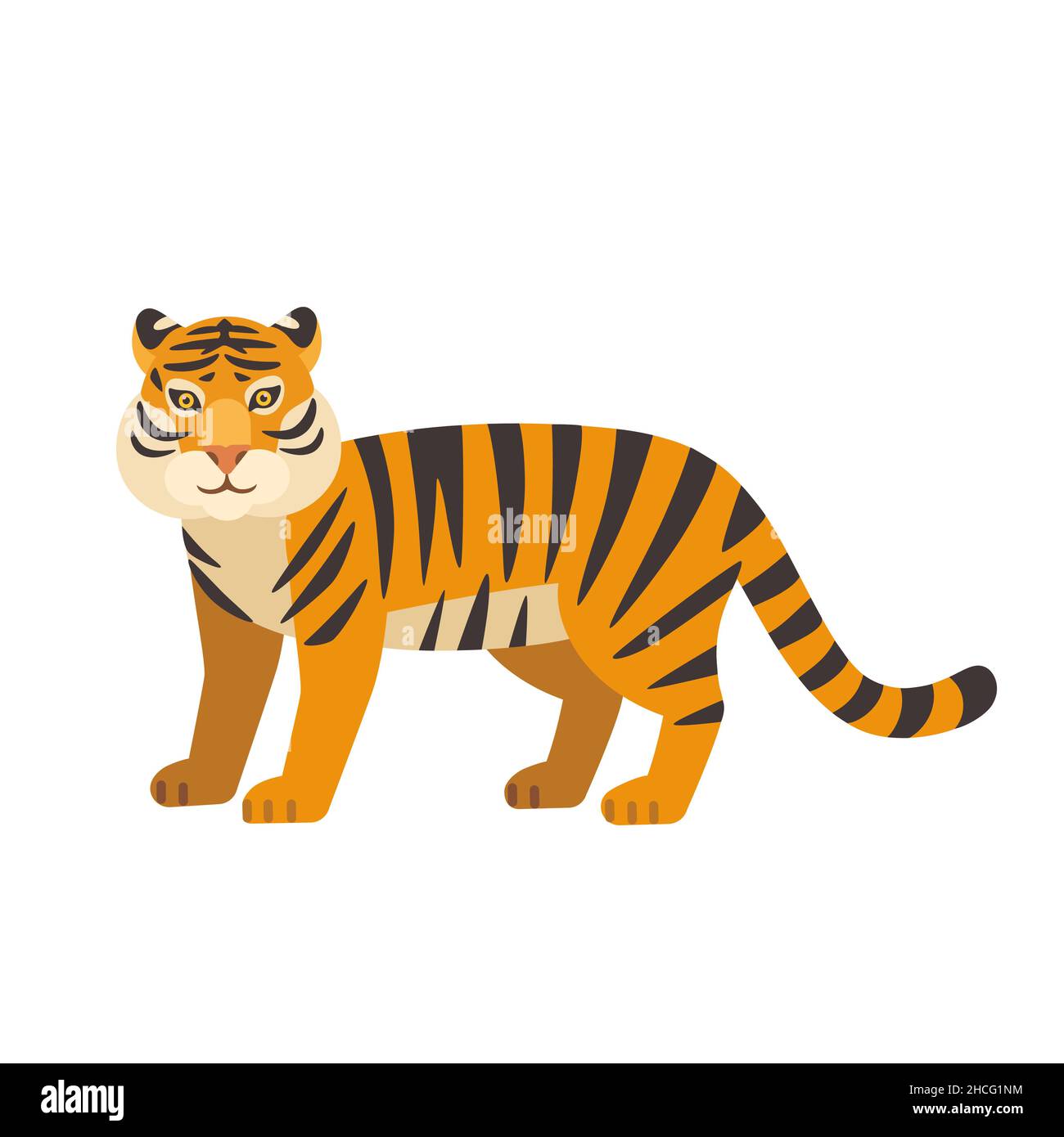 Cute wild tiger isolated on white background. Vector illustration Stock ...