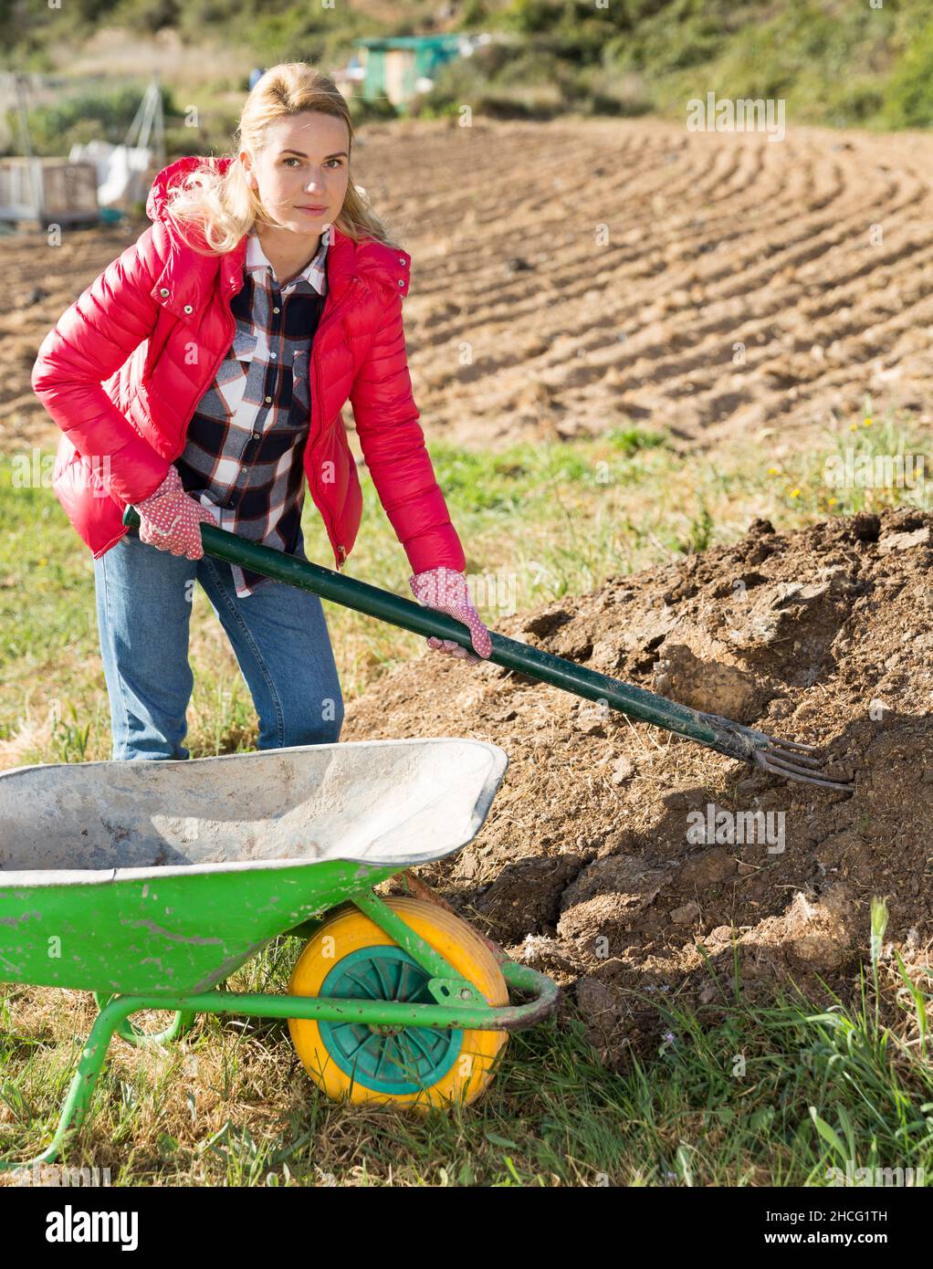 Woman farmer loading garden wheelbarrow with manure Stock Photo - Alamy