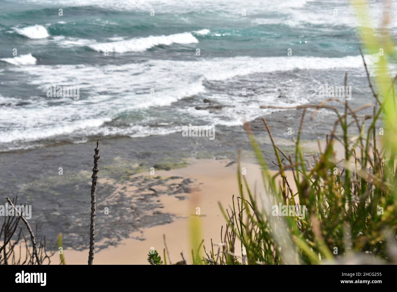 a view of a beach in Jervis Bay, NSW, Australia with surrounding beachfront houses and flora Stock Photo