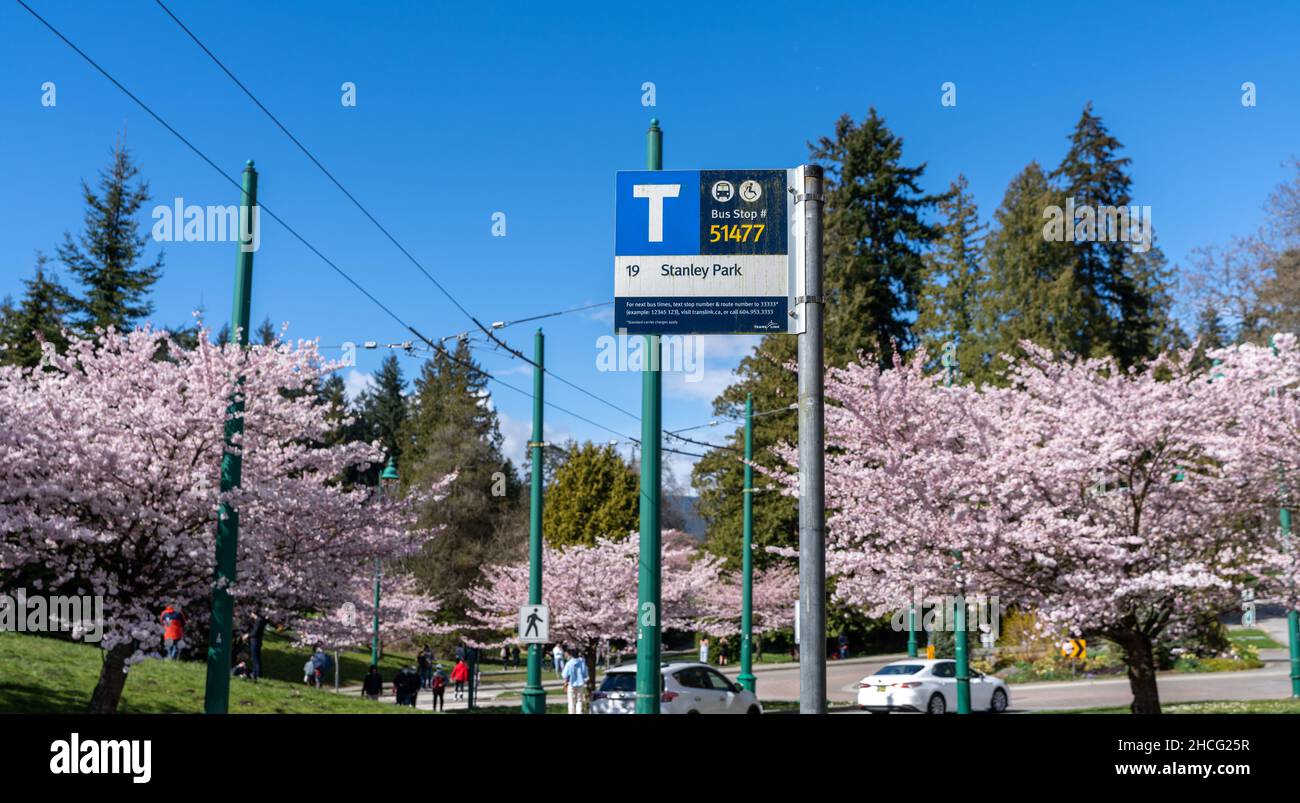 Vancouver City, BC, Canada April 4 2021 Stanley Park entrance bus