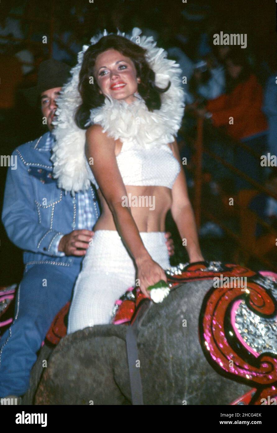 Jo Ann Pflug Circa 1980&rsquo;s Credit: Ralph Dominguez/MediaPunch Stock