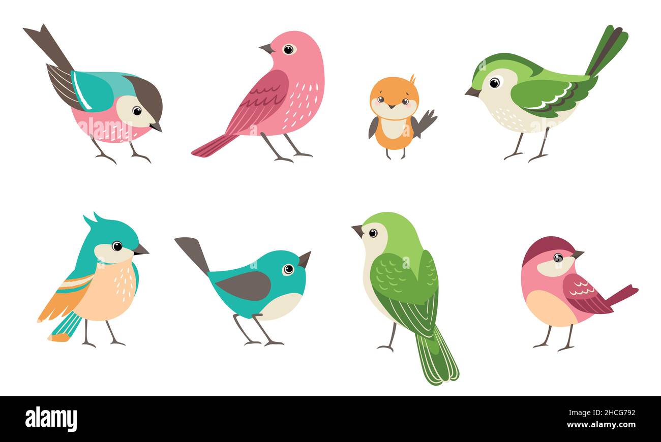 Group of sparrow bird with different color and size. Teal, turquoise, green, pink, and yellow cartoon flat vector bird illustration isolated on white Stock Vector