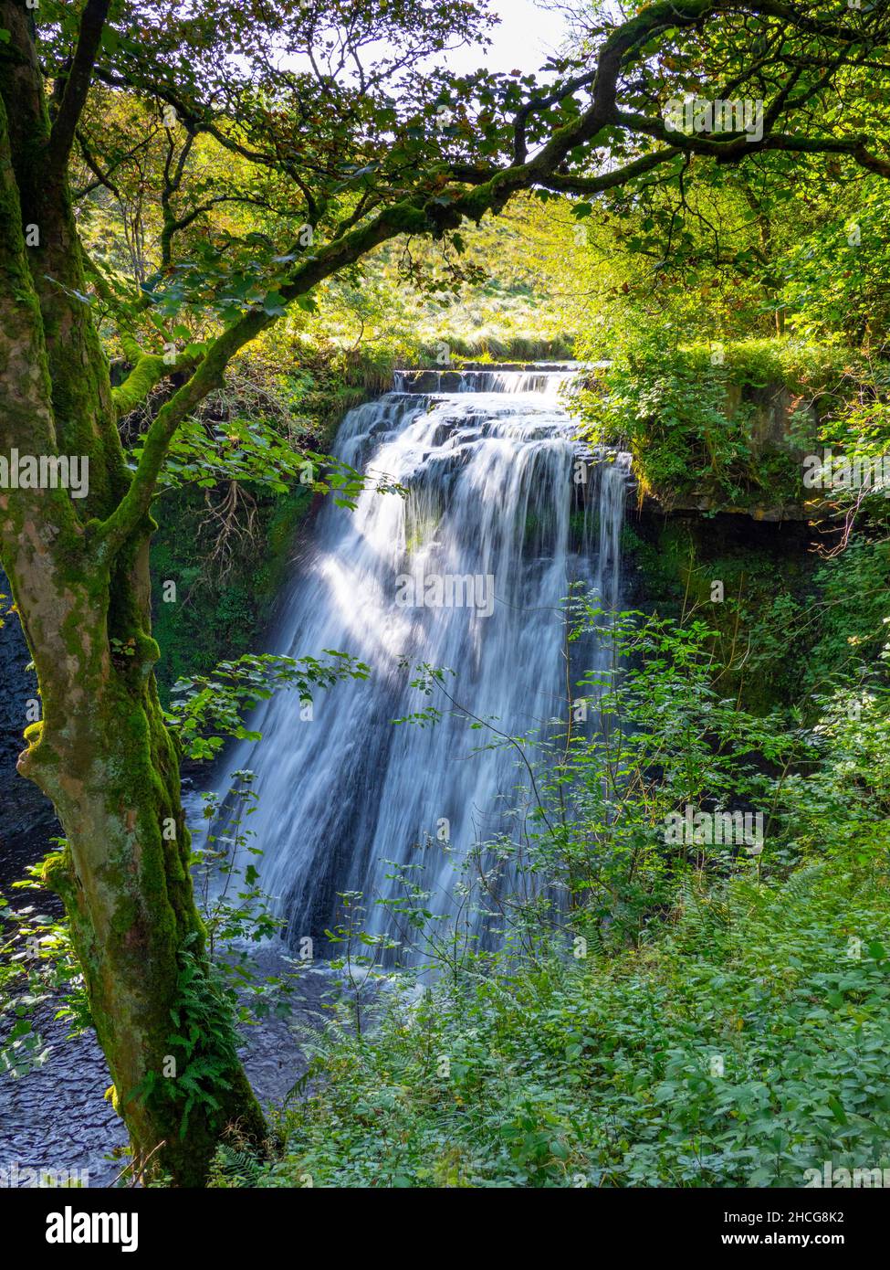 Aysgill Force, Gayle Beck, Wensleydale. Stock Photo
