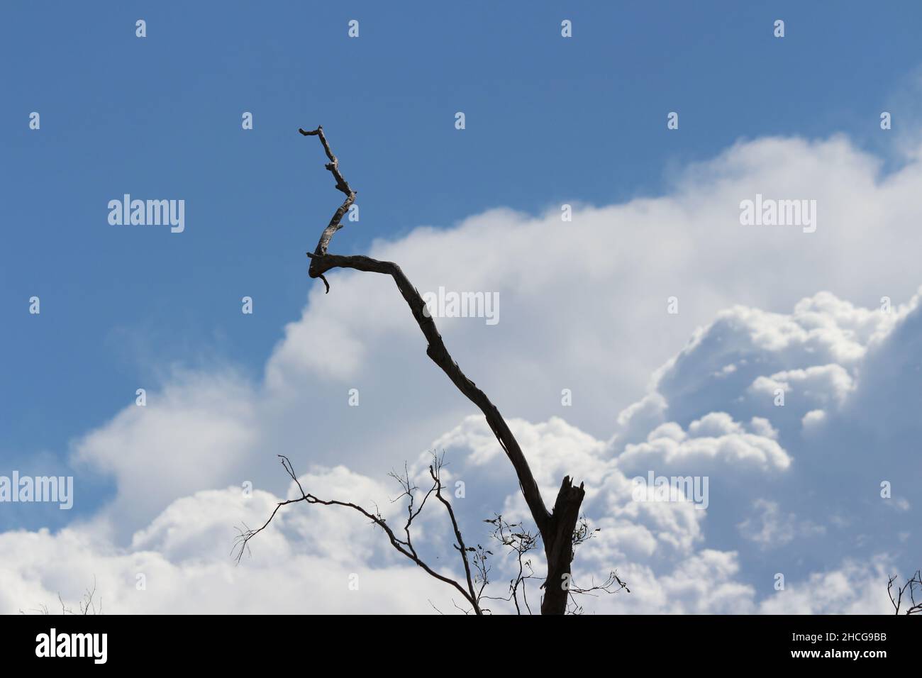 Stormy clouds down at the Avon river. Stock Photo