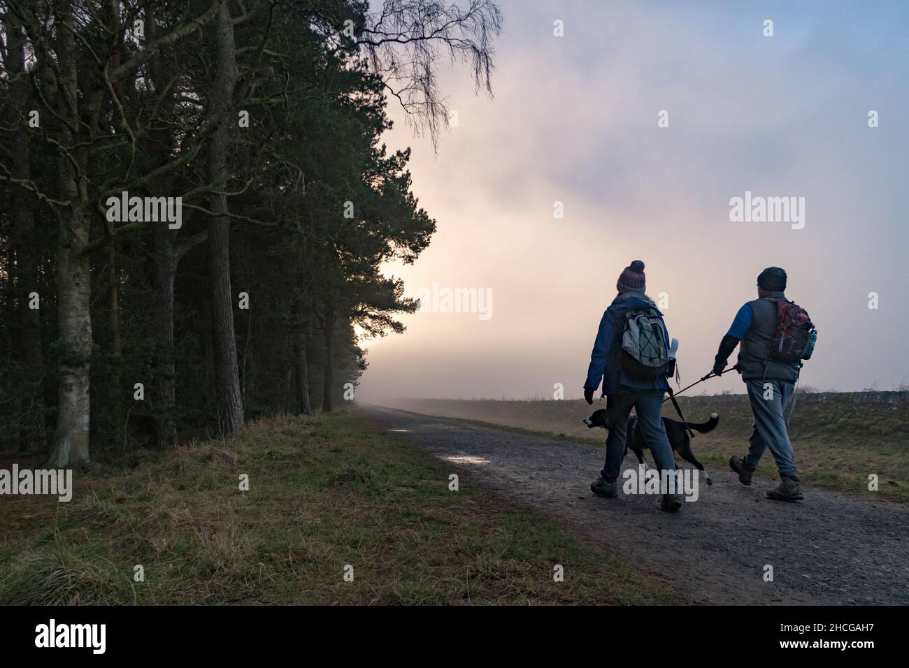 A couple walking a dog along a gravel path in a forest at dusk Stock Photo