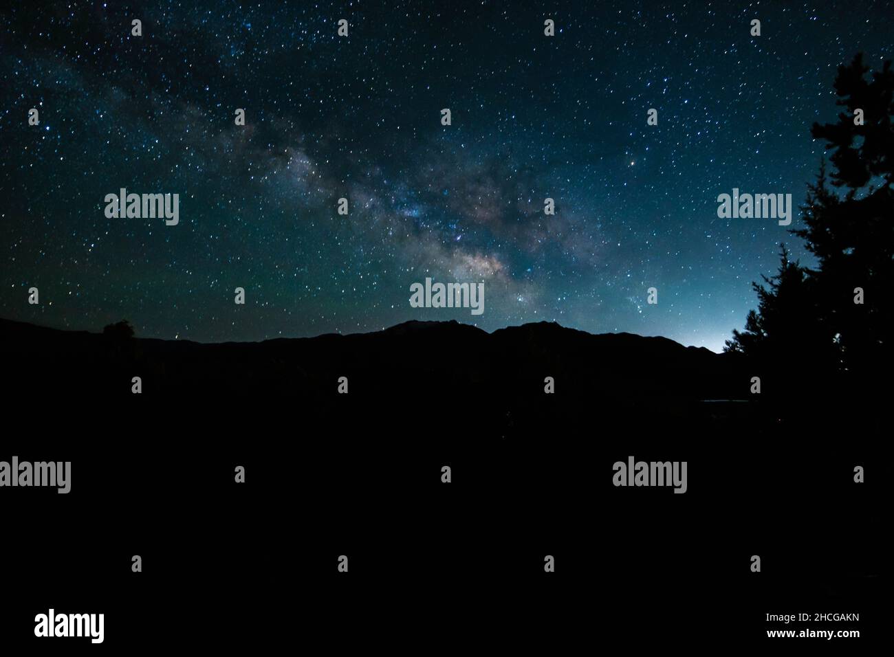 Silhouette of trees on mountains under the starry night sky Stock Photo ...