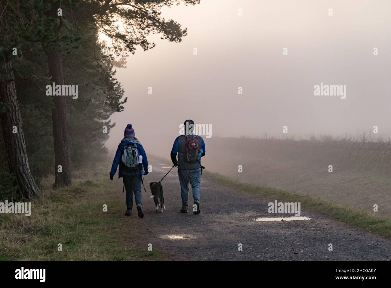 A couple walking a dog along a gravel path in a forest at dusk Stock