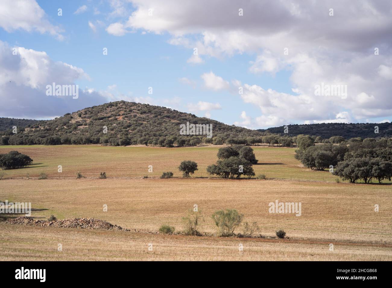 Agricultural land pasture hills dry grass Spain La Mancha Stock Photo