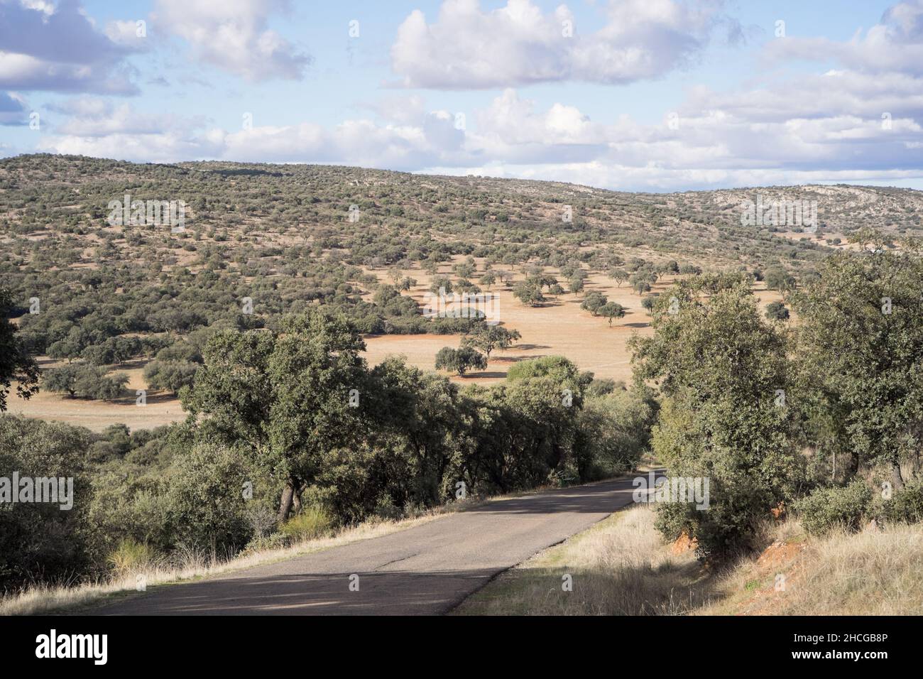 Tarmac road through green tree covered low hills of La Mancha region in Spain Stock Photo