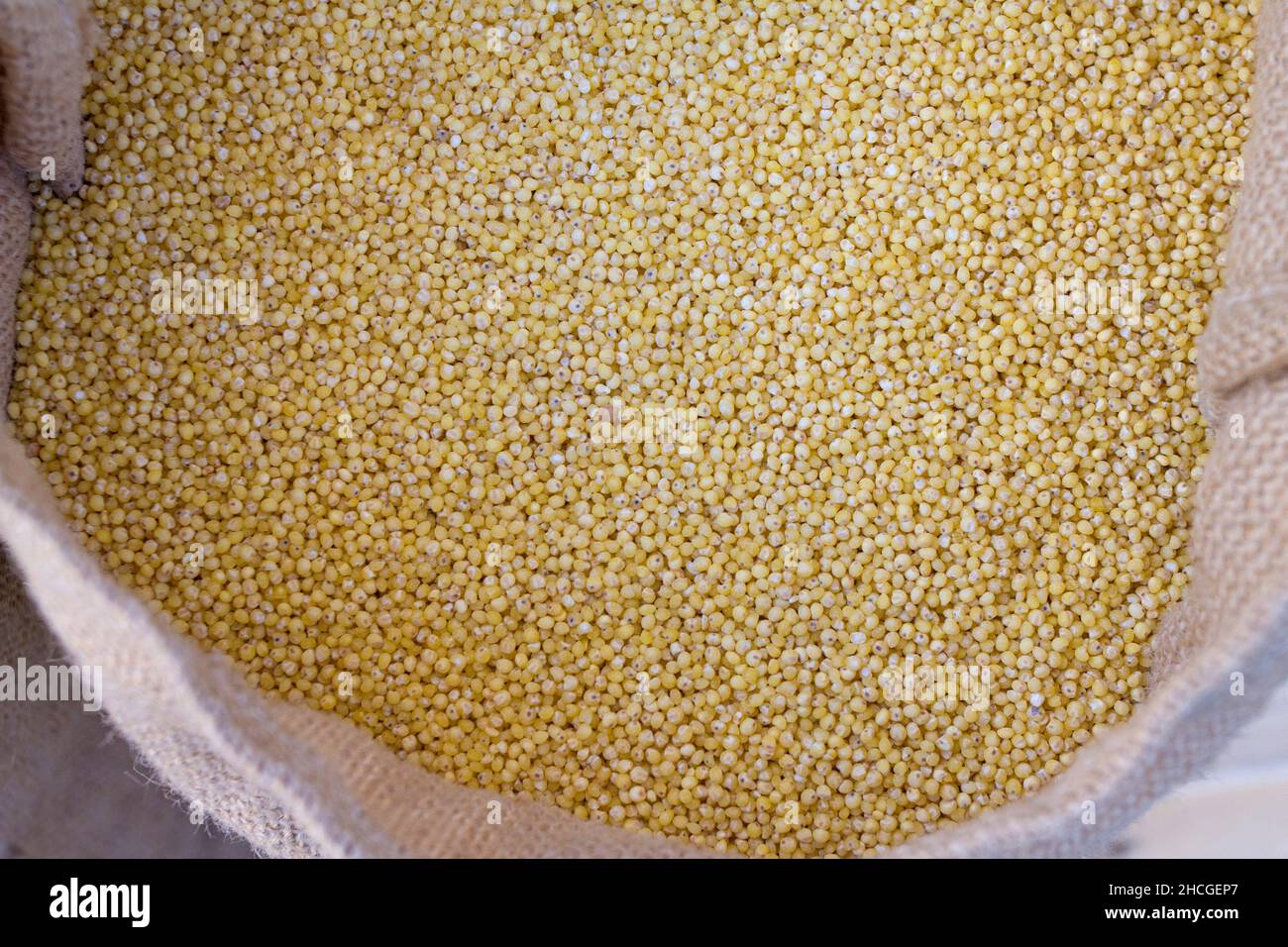 Burlap sack with raw millet or oat Stock Photo