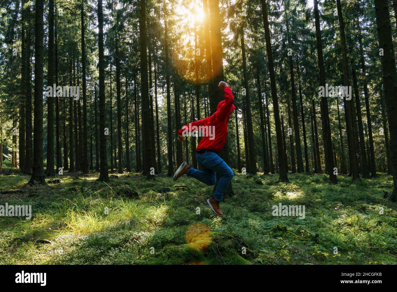 Young man jumps in the green forrest with red jacket and enjoys nature Stock Photo